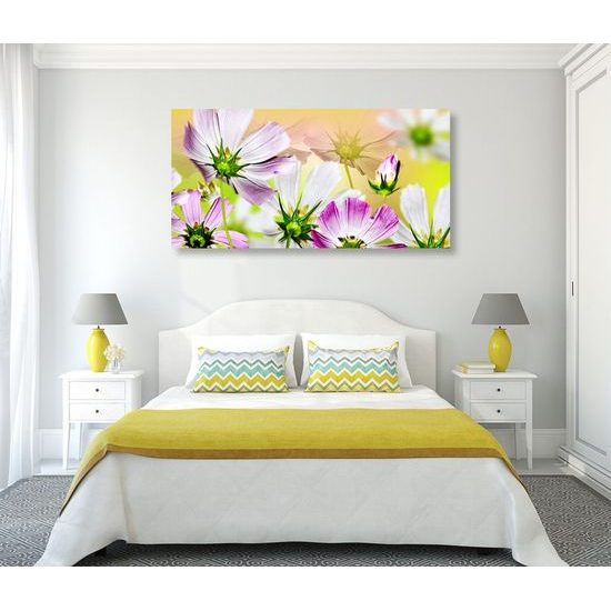 Kép virágok lágysága