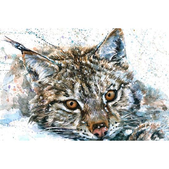 Kép fenséges hiúzkölyök