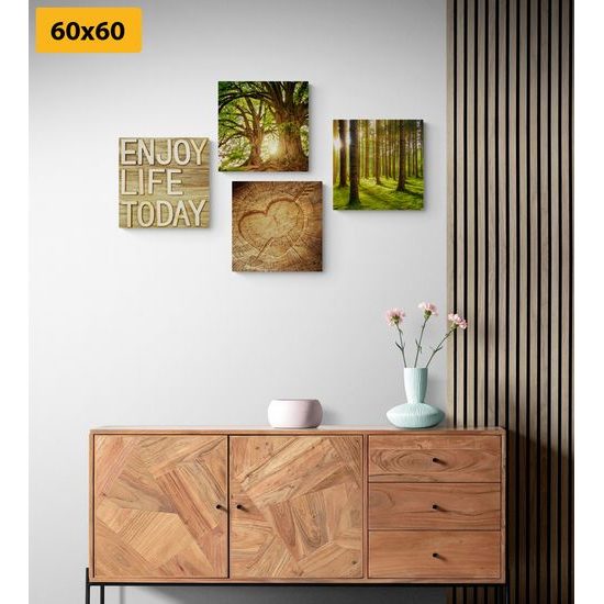 Képszett a természet szerelmeseinek