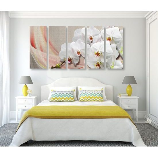 5 részes kép csodálatos orchidea