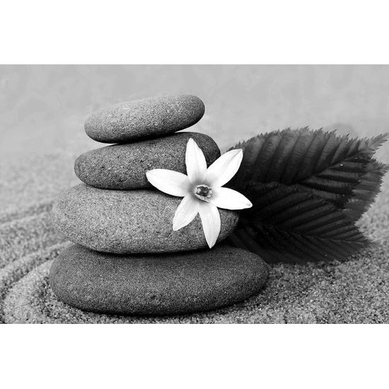 Kép kövek a homokos tengerparton fekete-fehér kivitelben