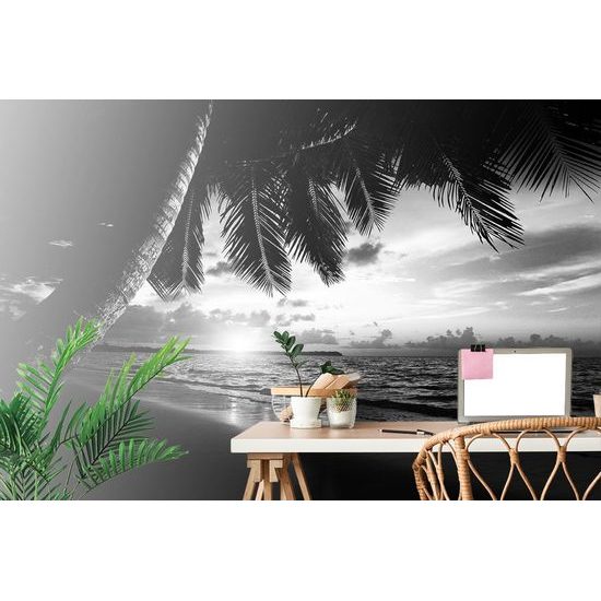 Fotótapéta fekete-fehér napfelkelte a tengerparton a Karib-térségben