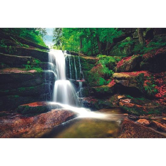 Fotótapéta gyönyörű erdei vízesés