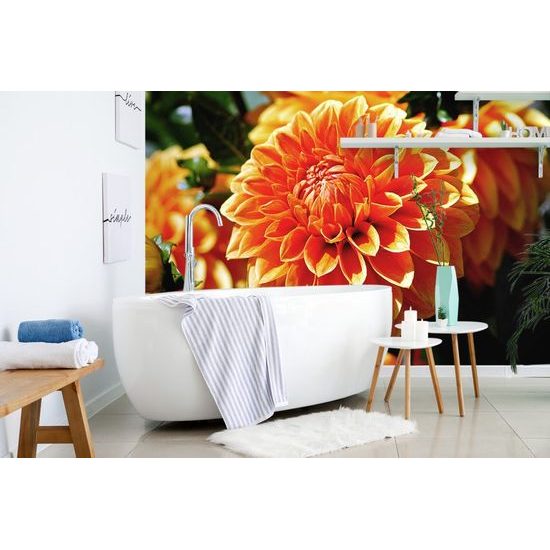 Gyönyörű öntapadó fotótapéta dália virág