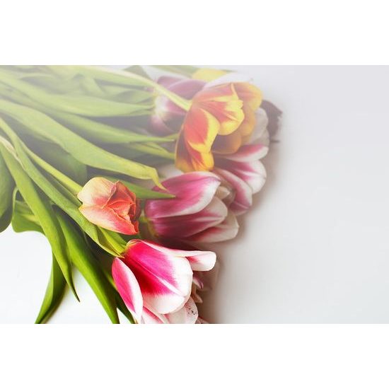 Tavaszi tulipán csokor öntapadó fotótapéta