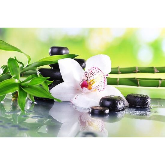 Öntapadó fotótapéta harmonikus csendélet orchideával