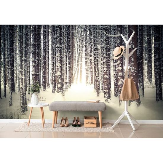 Hóval borított öntapadó fotótapétaa fák