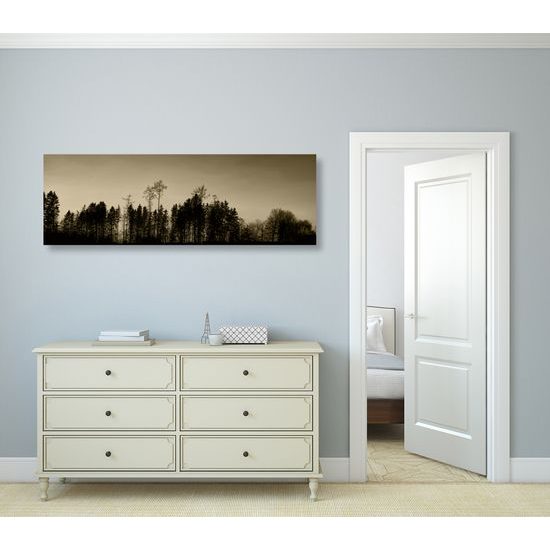 Kép erdő a naplementében szépia kivitelben