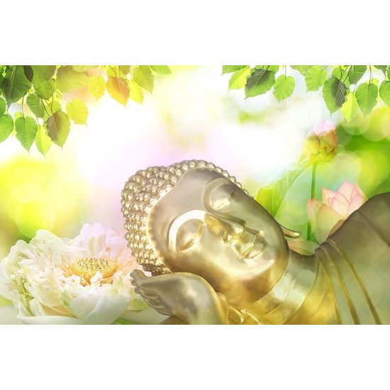 Öntapadó tapéta a buddha álma