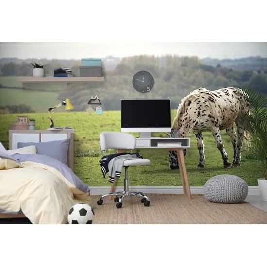 Öntapadó tapéta legelésző ló