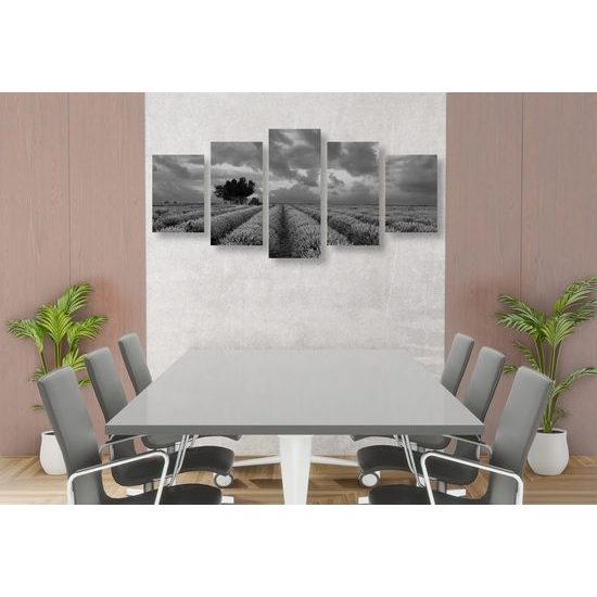 5 részes kép levendulákkal teli mező fekete-fehér kivitelben
