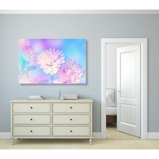 Kép krizantém csodálatos fehér virágai