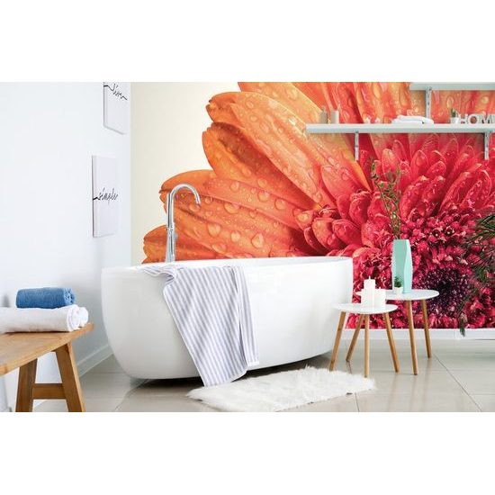 Öntapadó fotótapéta vízcseppekkel borított gerbera