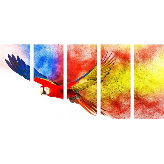 5 részes kép sokszínű repülő papagáj