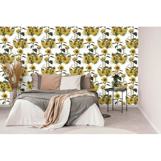 Tapéta virágzó napraforgó fehér alapon