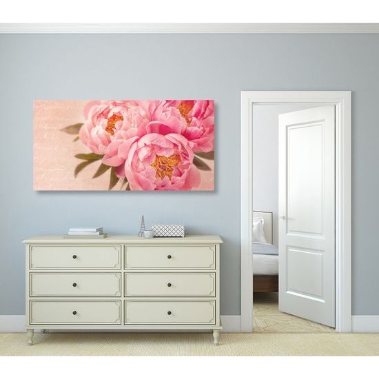 Kép lágy pünkösdi rózsa