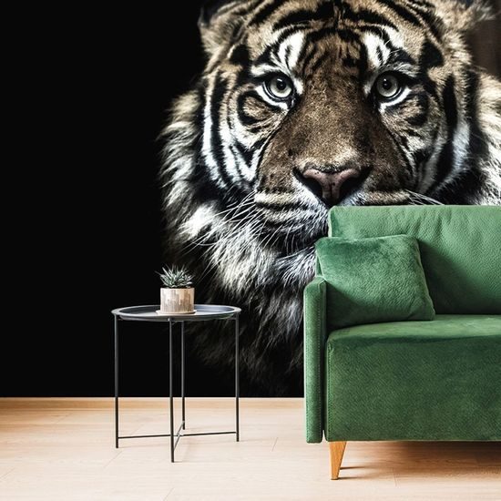 Öntapadó fotótapéta tigris