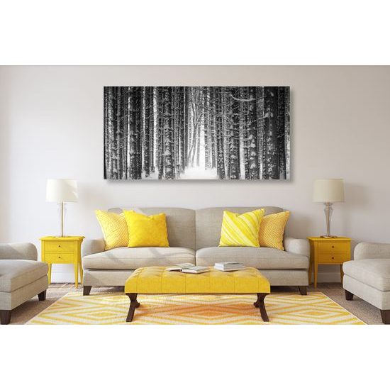 Kép fekete-fehér erdő téli időszakban