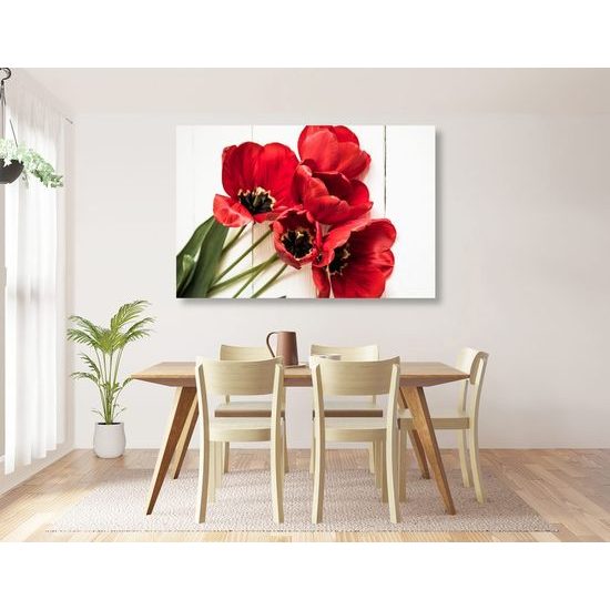 Kép csodálatos tulipánok