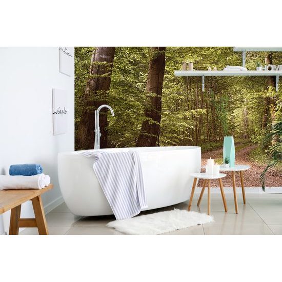 Öntapadó fotótapéta séta az erdőben