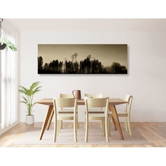 Kép erdő a naplementében szépia kivitelben