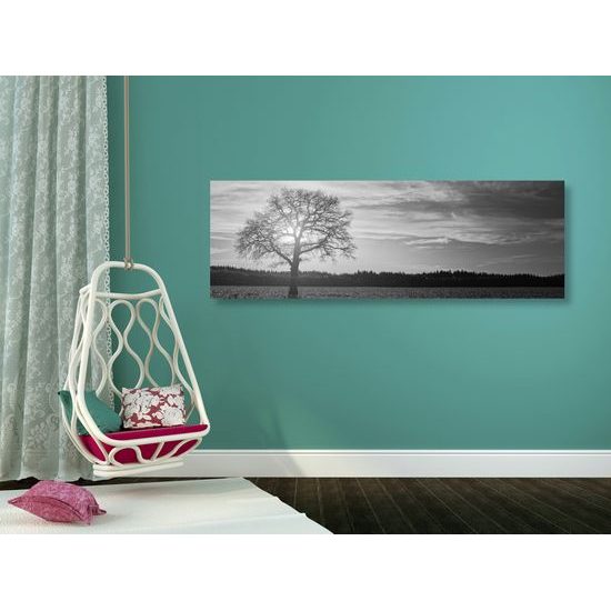 Kép erdő mögé lemenő nap fekete-fehér kivitelben