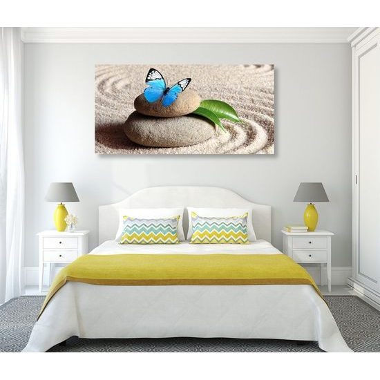 Kép csodálatos pillangó wellness csendéletben