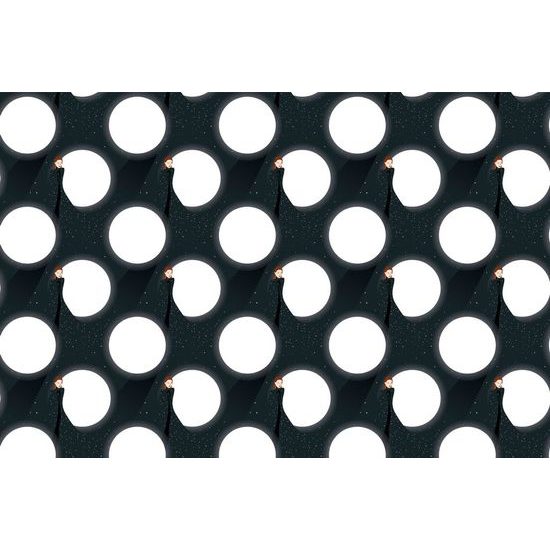 Tapéta az éjszaka hölgye