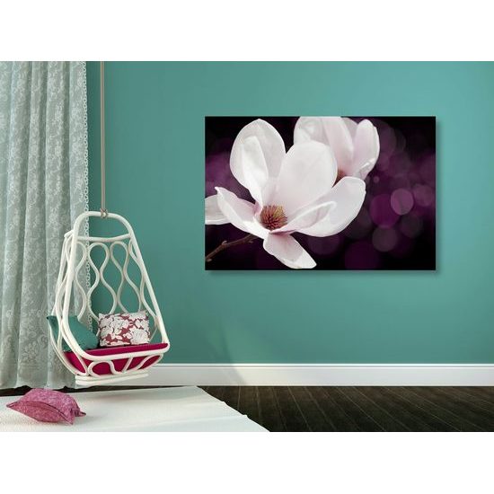 Kép magnólia virágzása