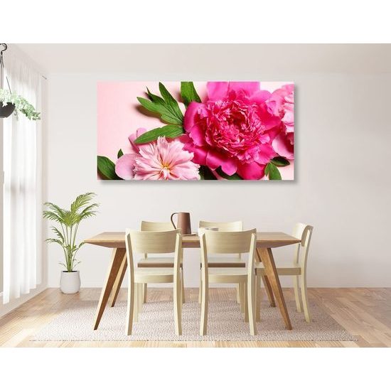 Kép bájos rózsaszín pünkösdi rózsák