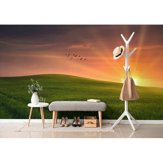 Öntapadó fotótapéta mesebeli rét a lenyugvó nappal