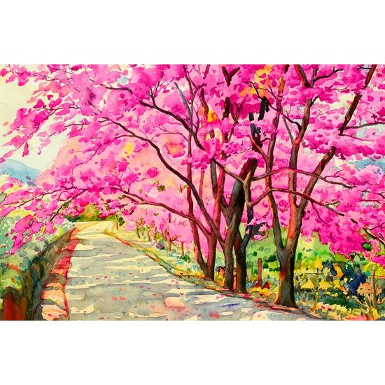 Kép kivirágzott cseresznyék sugárútja