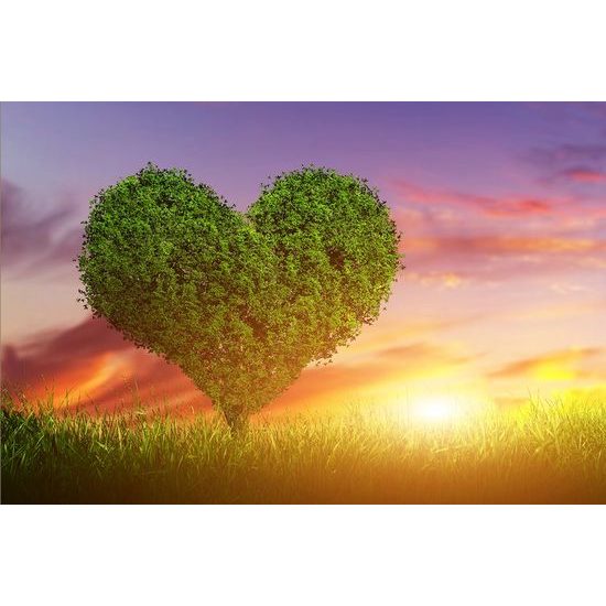 Gyönyörű szív alakú fa tapéta
