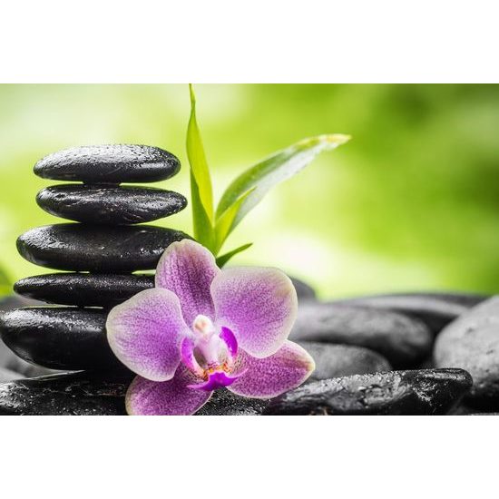 Kép wellness kövek a természet szívében