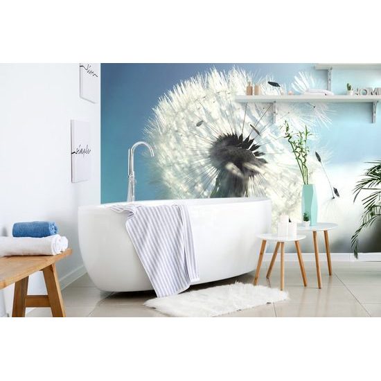 Öntapadó tapéta gyermekláncfű