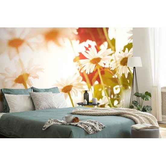 Fooöntapadó tapéta csodás százszorszépek