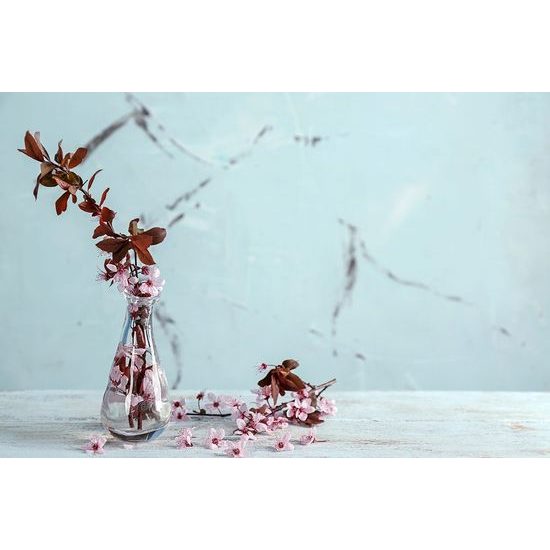 Öntapadó fotótapéta csendélet cseresznyeággal