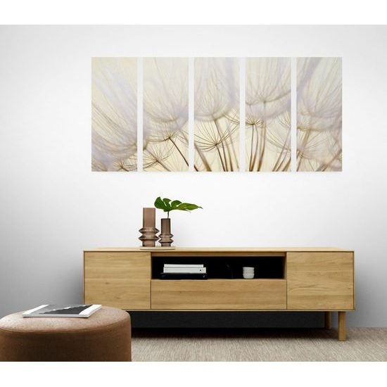 5 részes kép pitypang pontos részletei