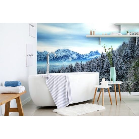 Fotótapéta havas táj