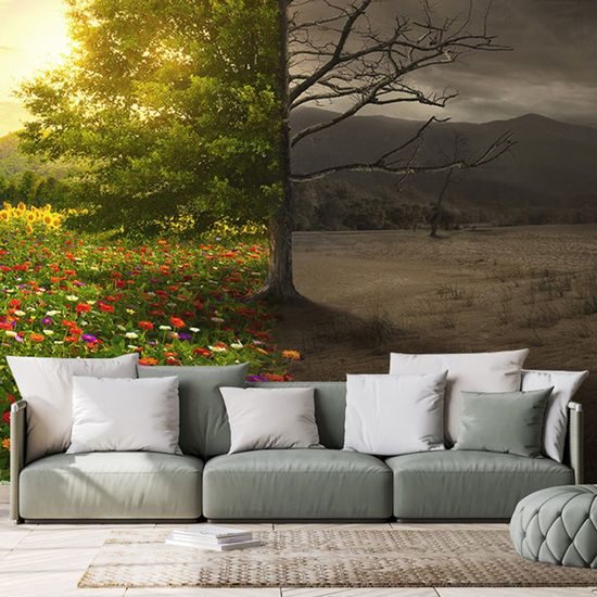 Öntapadó tapéta egy fa két kinézete