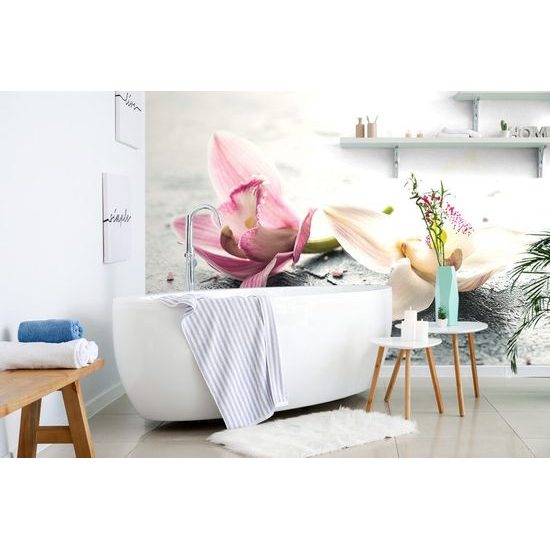 Öntapadó fotótapéta két színes orchidea virág