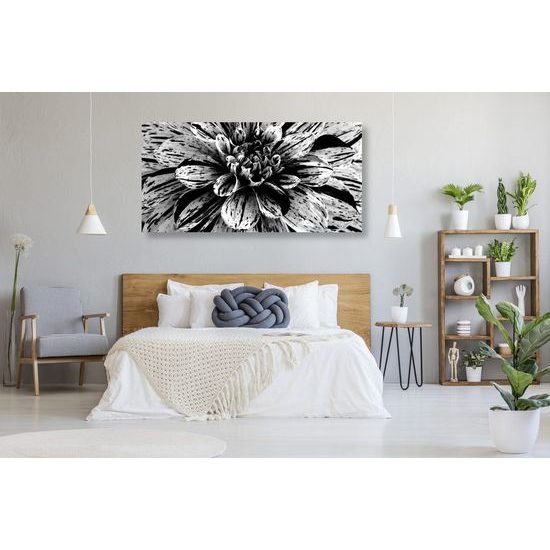 Kép hatalmas dália fekete-fehér kivitelben