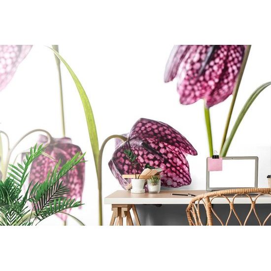 Lila színű öntapadó fotótapéta sakktábla virág