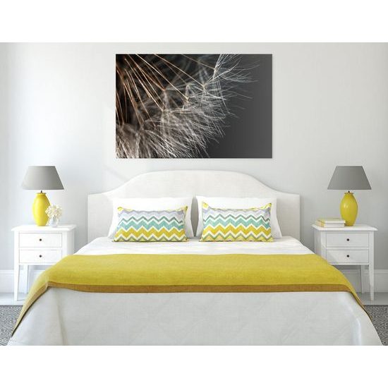 Kép pitypang részletei