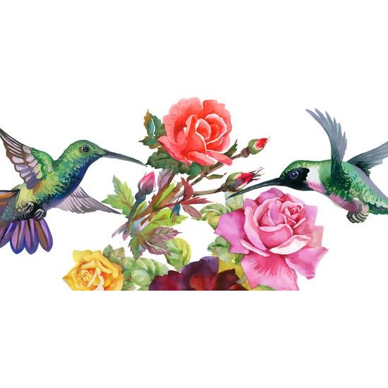 Kép festett kolibrik