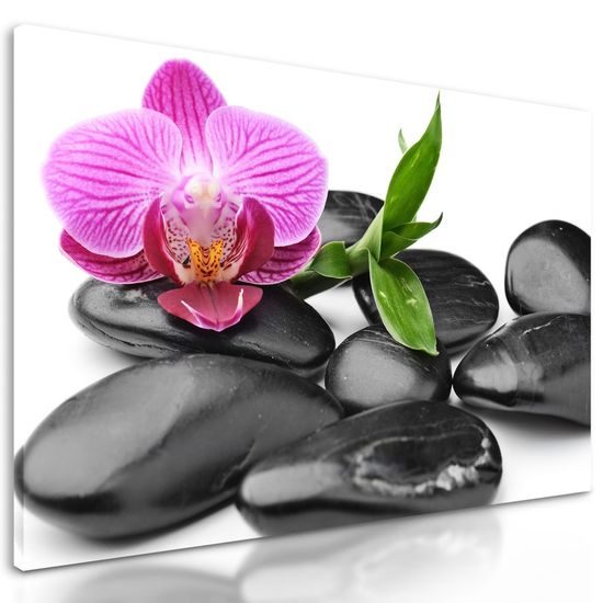 Kép lapos wellness kövek