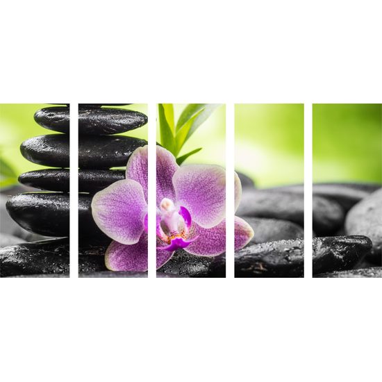 5 részes kép wellness kövek a trópusi természet szívében