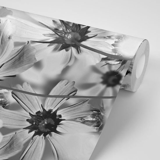 Tapéta virágok enyhesége fekete fehérben