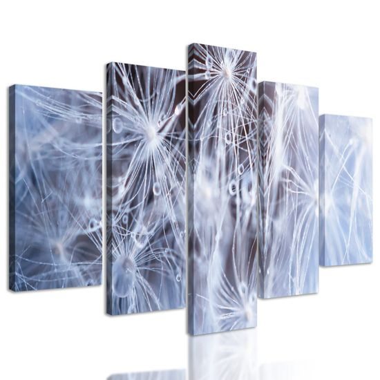 5 részes kép pitypang részlete