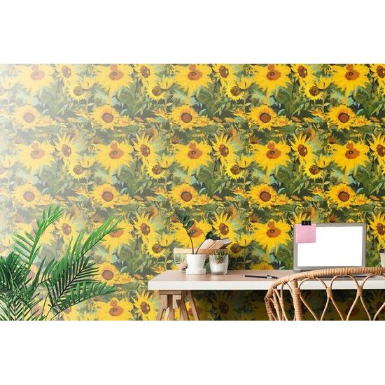 Öntapadó tapéta elbűvölő vad napraforgók